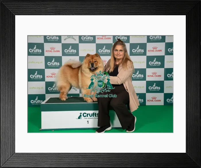 Framed Print : D-C-D-0-1-9-0 Crufts 2024 NEC Birmingham Utility Framed Print : D-C-D-0-1-9-0 Crufts 2024 NEC Birmingham Utility