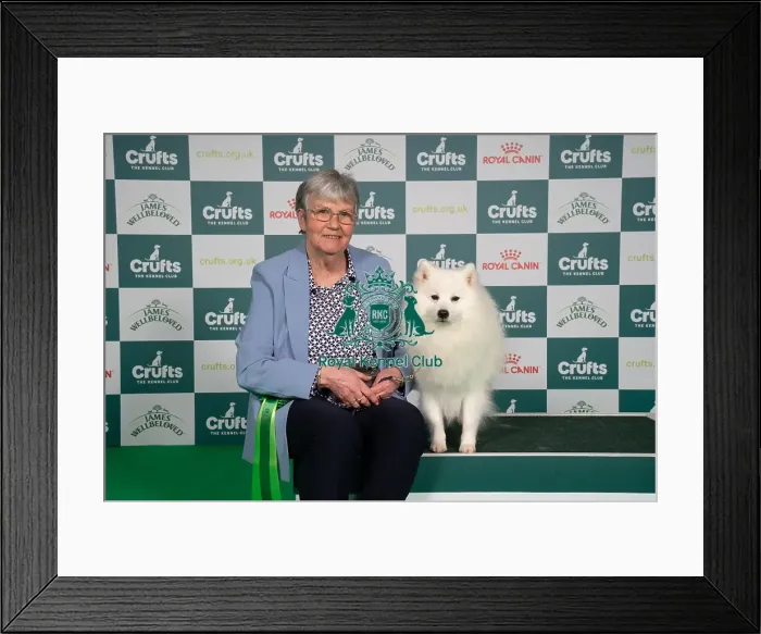 Framed Print : D-C-D-0-1-9-0 Crufts 2024 NEC Birmingham Utility Framed Print : D-C-D-0-1-9-0 Crufts 2024 NEC Birmingham Utility