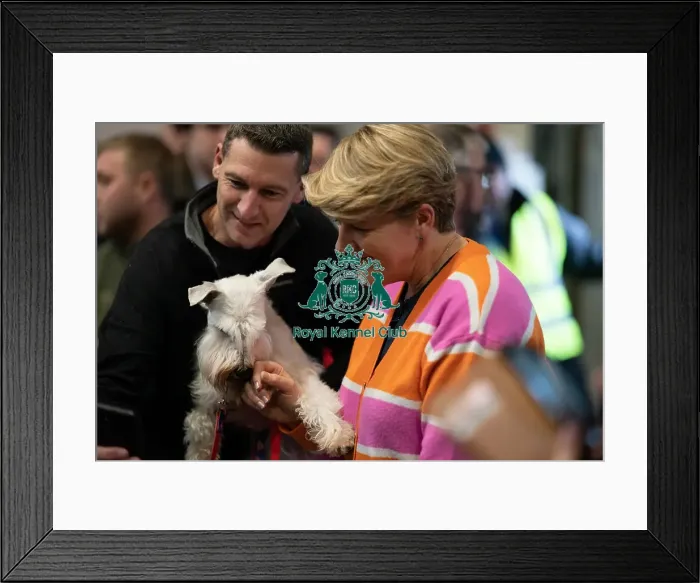 Framed Print : D-C-D-0-1-9-0 Crufts 2024 NEC Birmingham Day 1 Framed Print : D-C-D-0-1-9-0 Crufts 2024 NEC Birmingham Day 1