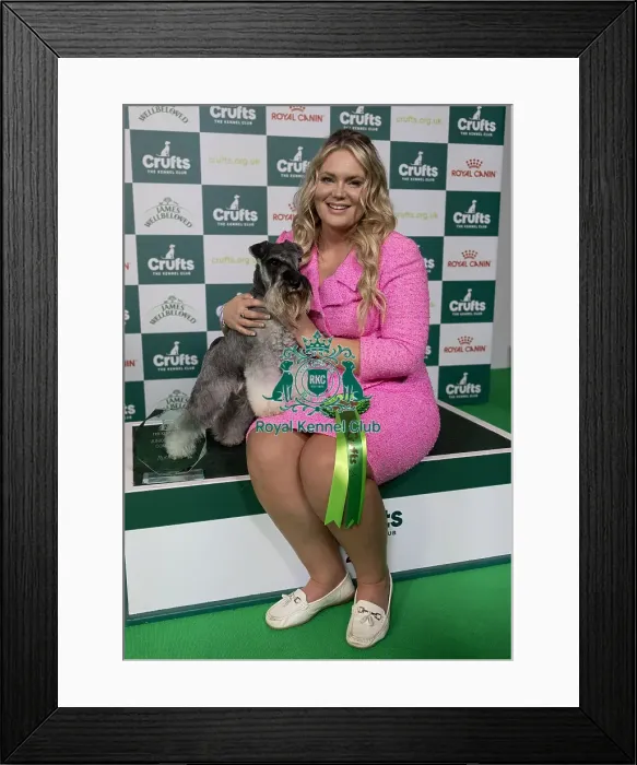 Framed Print : D-C-D-0-1-9-0 Crufts 2024 NEC Birmingham Day 1 Framed Print : D-C-D-0-1-9-0 Crufts 2024 NEC Birmingham Day 1