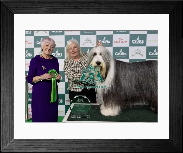Framed Print : D-C-D-0-1-9-0 Crufts 2024 NEC Birmingham Day 1 Framed Print : D-C-D-0-1-9-0 Crufts 2024 NEC Birmingham Day 1