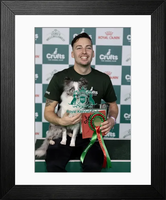 Framed Print : D-C-D-0-1-9-0 Crufts 2024 NEC Birmingham Day 1 Framed Print : D-C-D-0-1-9-0 Crufts 2024 NEC Birmingham Day 1
