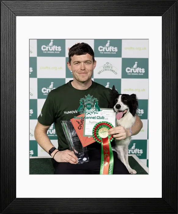 Framed Print : D-C-D-0-1-9-0 Crufts 2024 NEC Birmingham Day 1 Framed Print : D-C-D-0-1-9-0 Crufts 2024 NEC Birmingham Day 1