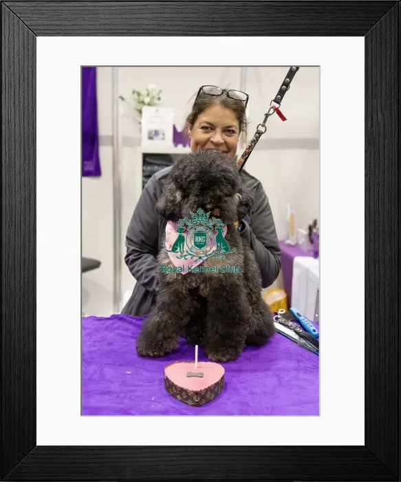 Framed Print : D-C-D-0-1-9-0 Crufts 2024 NEC Birmingham Day 1