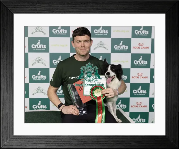 Framed Print : D-C-D-0-1-9-0 Crufts 2024 NEC Birmingham Day 1 Framed Print : D-C-D-0-1-9-0 Crufts 2024 NEC Birmingham Day 1