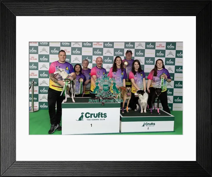 Framed Print : D-C-D-0-1-9-0 Crufts 2024 NEC Birmingham Day 1 Framed Print : D-C-D-0-1-9-0 Crufts 2024 NEC Birmingham Day 1