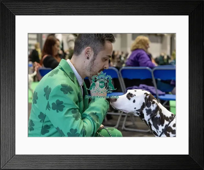 Framed Print : D-C-D-0-1-9-0 Crufts 2024 NEC Birmingham Day 1