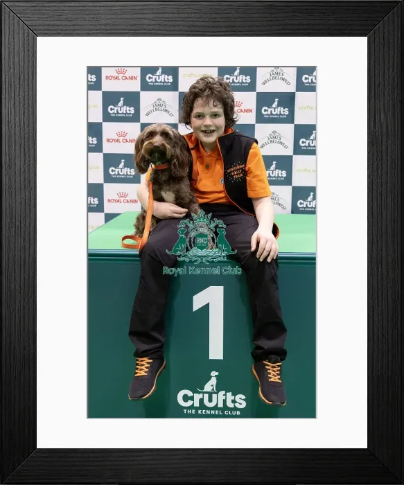 Framed Print : D-C-D-0-1-9-0 Crufts 2024 NEC Birmingham Day 1 Framed Print : D-C-D-0-1-9-0 Crufts 2024 NEC Birmingham Day 1