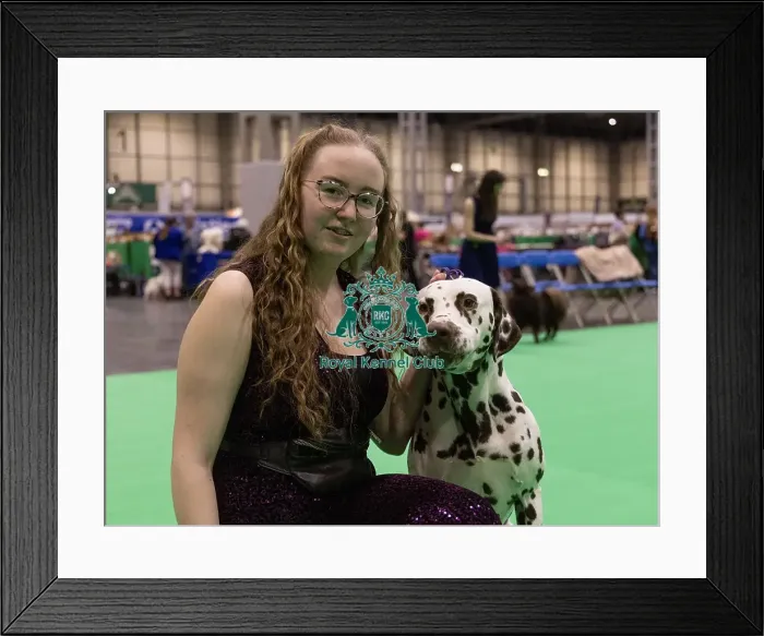 Framed Print : D-C-D-0-1-9-0 Crufts 2024 NEC Birmingham Utility Framed Print : D-C-D-0-1-9-0 Crufts 2024 NEC Birmingham Utility