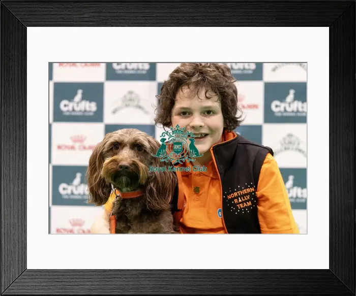 Framed Print : D-C-D-0-1-9-0 Crufts 2024 NEC Birmingham Day 1 Framed Print : D-C-D-0-1-9-0 Crufts 2024 NEC Birmingham Day 1