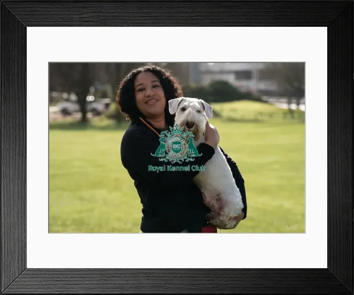 Framed Print : D-C-D-0-1-9-0 Crufts 2024 Misha Haywood Sealyham Terrier