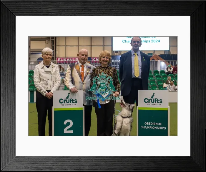 Framed Print : Crufts 2024 Official photos by Robert Simpson, RKC102321 Framed Print : Crufts 2024 Official photos by Robert Simpson, RKC102321
