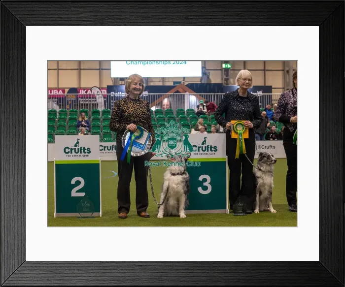 Framed Print : Crufts 2024 Official photos by Robert Simpson, RKC102318 Framed Print : Crufts 2024 Official photos by Robert Simpson, RKC102318