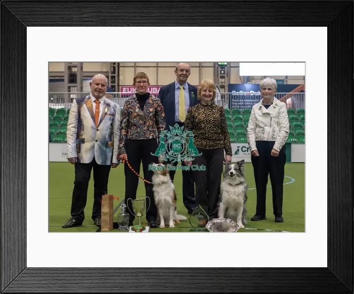 Framed Print : Crufts 2024 Official photos by Robert Simpson, RKC102322 Framed Print : Crufts 2024 Official photos by Robert Simpson, RKC102322