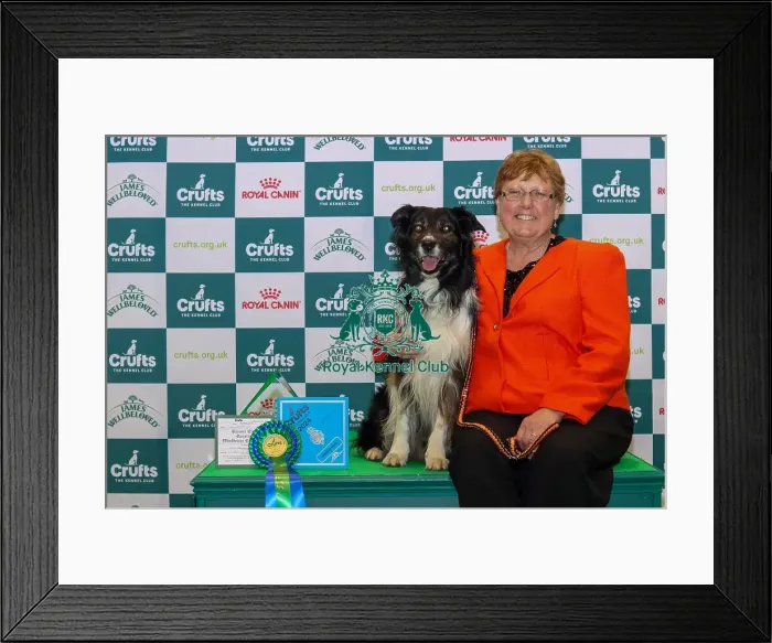Framed Print : Obedience Reserve Champion (Dog), Carolyn with her Border Collie Luca Framed Print : Obedience Reserve Champion (Dog), Carolyn with her Border Collie Luca