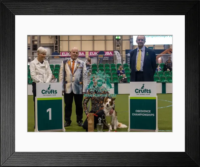 Framed Print : Crufts 2024 Official photos by Robert Simpson, RKC102317