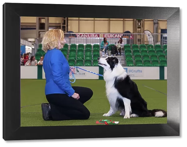 Obedience Champion (Dog) Lorna with her Border Collie Lenny