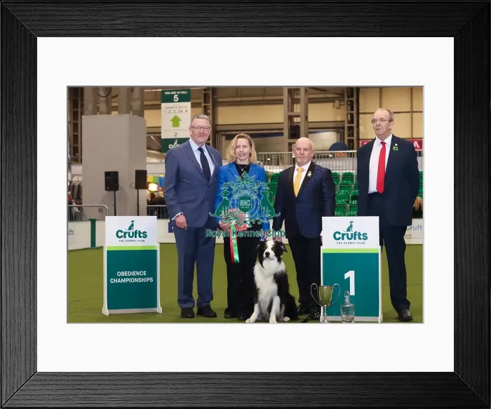 Framed Print : Crufts 2024 Official photos by Robert Simpson, RKC102312 Framed Print : Crufts 2024 Official photos by Robert Simpson, RKC102312