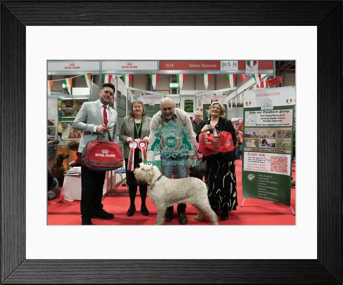 Framed Print : The Italian Spinone Club being awarded the Best Discover Dogs Stand for the Gundog Group and the Overall Runner Up at Crufts on Sunday 10th March 2024 by Alison Scutcher Framed Print : The Italian Spinone Club being awarded the Best Discover Dogs Stand for the Gundog Group and the Overall Runner Up at Crufts on Sunday 10th March 2024 by Alison Scutcher