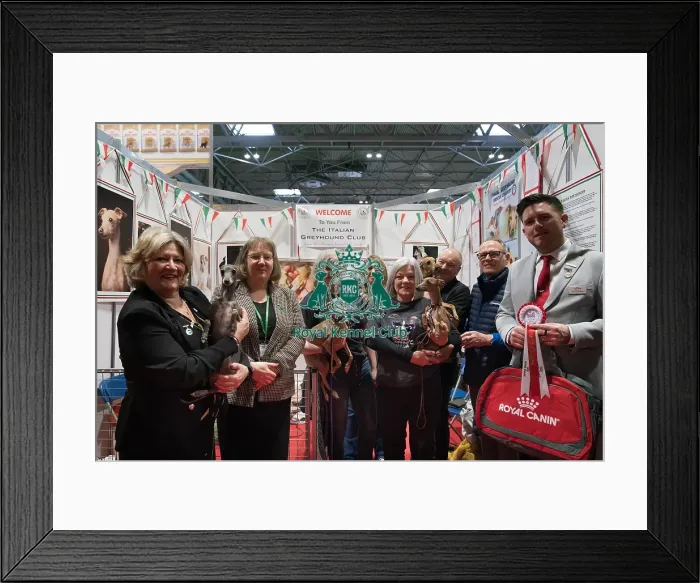 Framed Print : The Italian Greyhound Club being awarded the Best Discover Dogs Stand for the Toy Group at Crufts on Sunday 10th March 2024 by Alison Scutcher, Nicky Ackerley-Kemp (Directors at The Kennel Club) and Ricky Furnell from Royal Canin Framed Print : The Italian Greyhound Club being awarded the Best Discover Dogs Stand for the Toy Group at Crufts on Sunday 10th March 2024 by Alison Scutcher, Nicky Ackerley-Kemp (Directors at The Kennel Club) and Ricky Furnell from Royal Canin