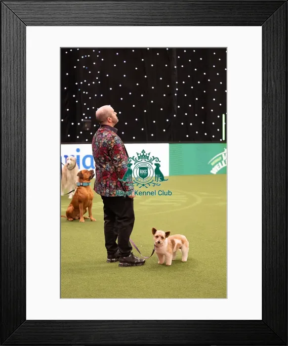Framed Print : Scruffts. RKC103429 Framed Print : Scruffts. RKC103429