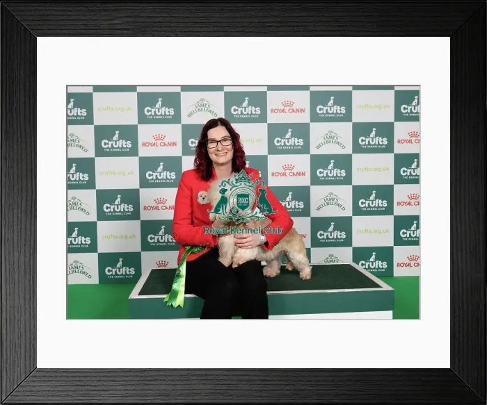 Framed Print : D-C-D-0-1-9-0 Crufts 2024 NEC Birmingham Terrier Framed Print : D-C-D-0-1-9-0 Crufts 2024 NEC Birmingham Terrier