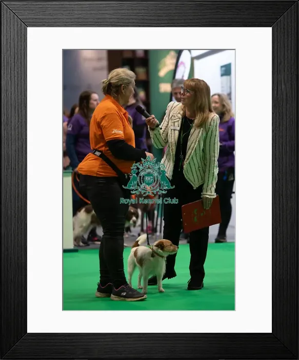 Framed Print : CRUFTS 2024- Thursday Framed Print : CRUFTS 2024- Thursday