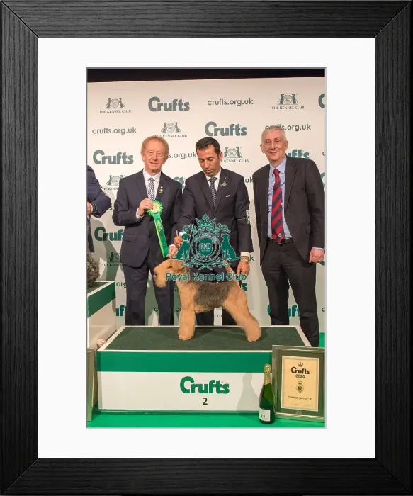 Framed Print : Best in Group Terrier 2nd Place Crufts 2020 Framed Print : Best in Group Terrier 2nd Place Crufts 2020