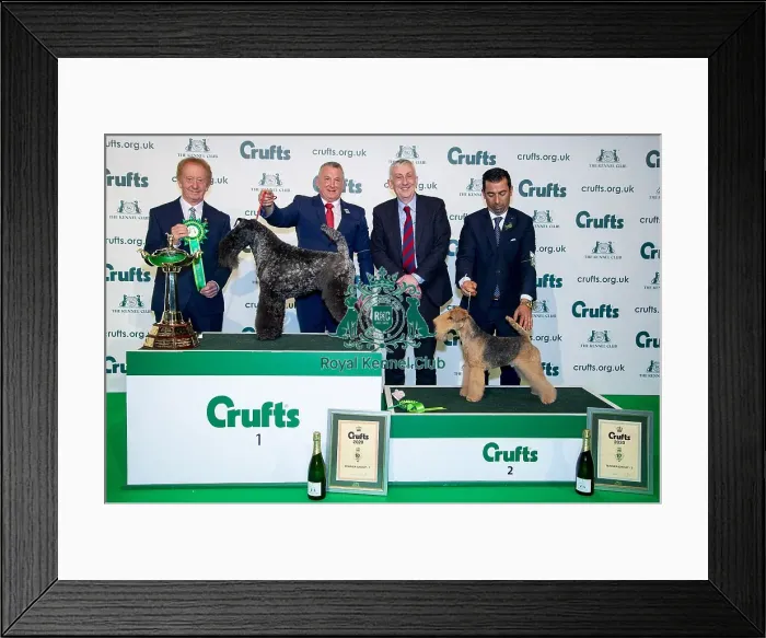 Framed Print : Crufts 2020 Framed Print : Crufts 2020