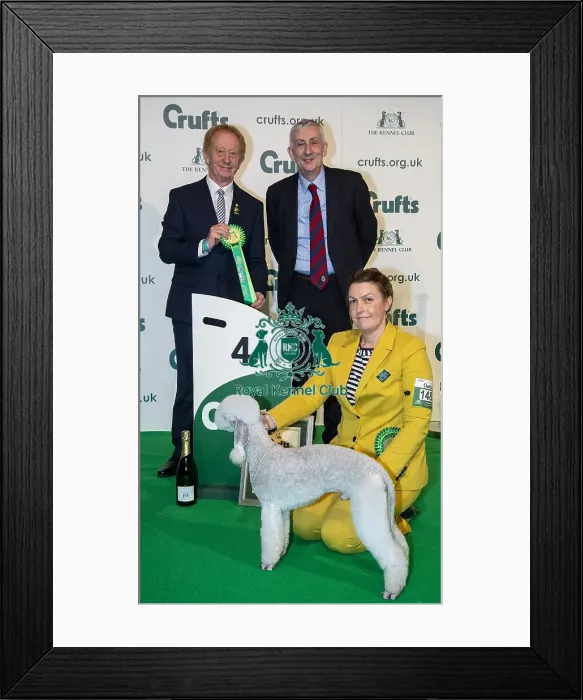 Framed Print : Crufts 2020 Framed Print : Crufts 2020
