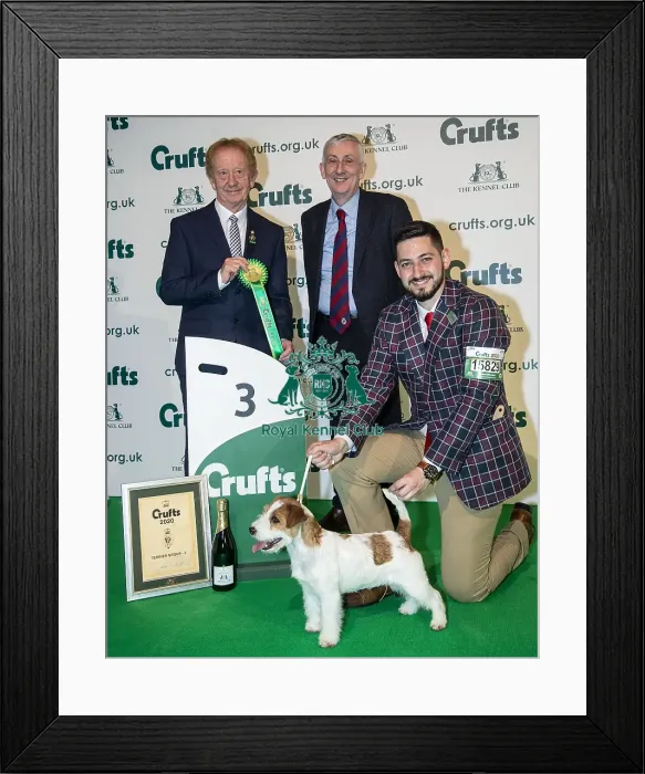 Framed Print : Crufts 2020 Framed Print : Crufts 2020