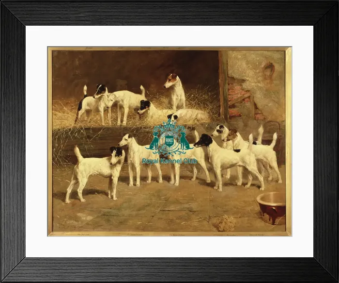 Framed Print : Totteridge Eleven Framed Print : Totteridge Eleven