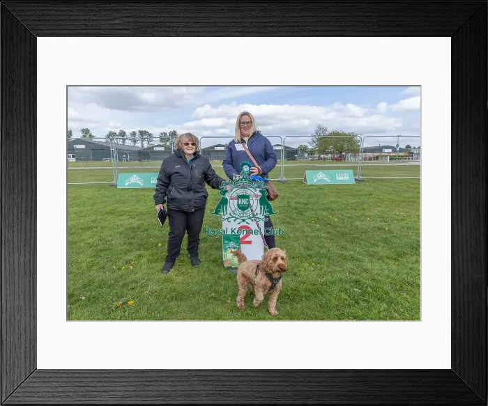 Framed Print : Nottinghamshire. Second Place Scruffts Heat James Wellbeloved Framed Print : Nottinghamshire. Second Place Scruffts Heat James Wellbeloved