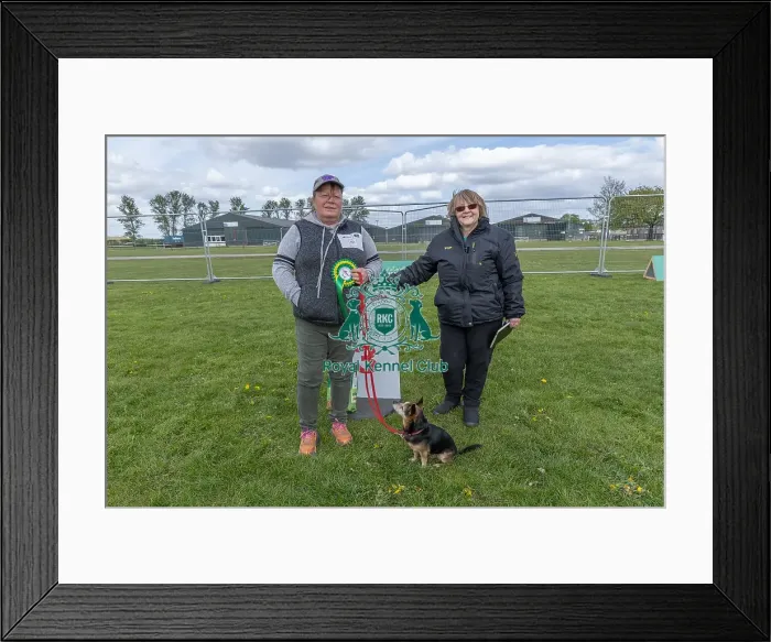 Framed Print : 21st April 2024 Scruffts Heat Dog Name Echo Nottinghamshire Framed Print : 21st April 2024 Scruffts Heat Dog Name Echo Nottinghamshire