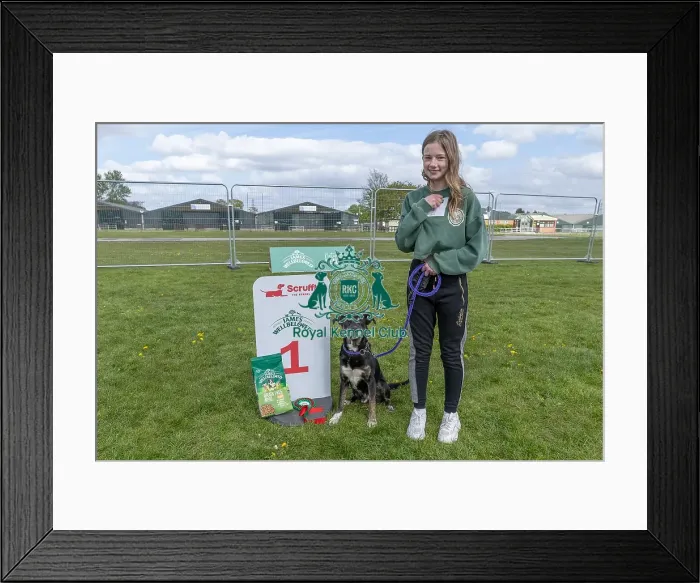Framed Print : Good Citizen Dog Scheme Class Owner Name Harleigh Gavigan Framed Print : Good Citizen Dog Scheme Class Owner Name Harleigh Gavigan