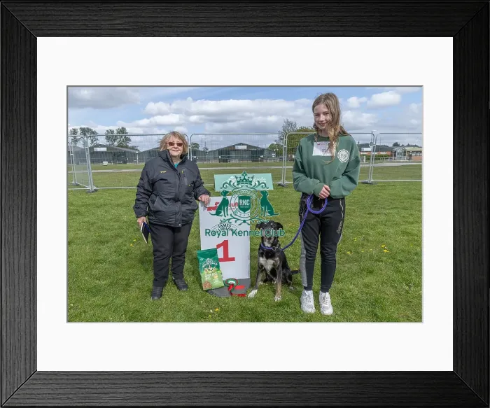 Framed Print : Good Citizen Dog Scheme Class Owner Name Harleigh Gavigan Framed Print : Good Citizen Dog Scheme Class Owner Name Harleigh Gavigan