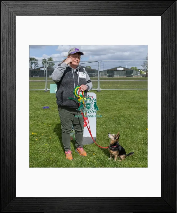 Framed Print : Good Citizen Dog Scheme Class Scruffts Heat Third Place
