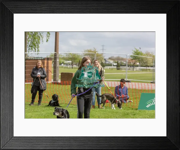 Framed Print : Good Citizen Dog Scheme Class Scruffts Heat Dog Name Framed Print : Good Citizen Dog Scheme Class Scruffts Heat Dog Name