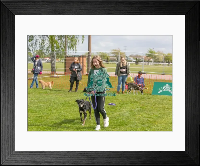 Framed Print : Good Citizen Dog Scheme Class Scruffts Heat Dog Name Framed Print : Good Citizen Dog Scheme Class Scruffts Heat Dog Name