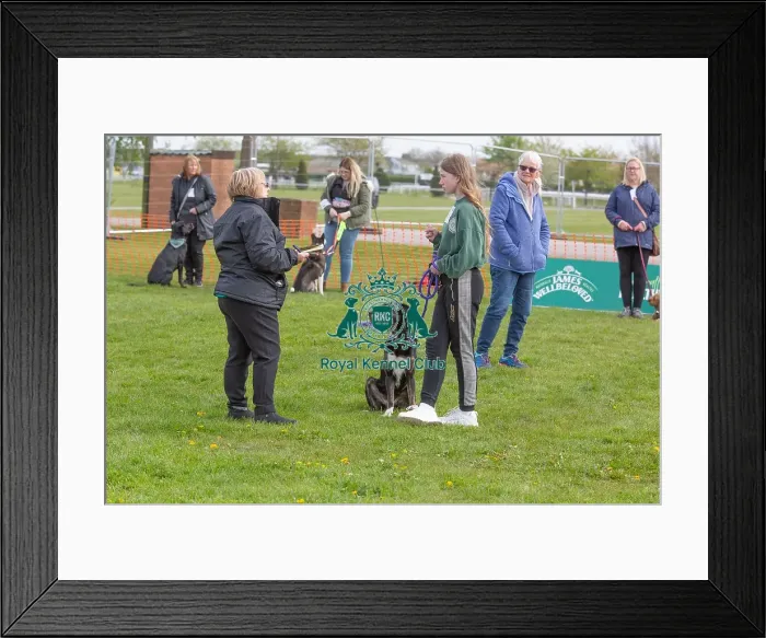 Framed Print : Good Citizen Dog Scheme Class Judging Dog Name Framed Print : Good Citizen Dog Scheme Class Judging Dog Name