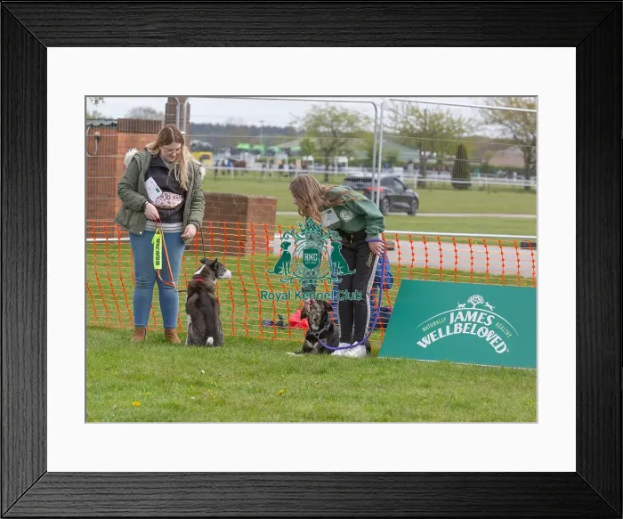 Framed Print : Sponsors Name Scruffts Heat James Wellbeloved Framed Print : Sponsors Name Scruffts Heat James Wellbeloved