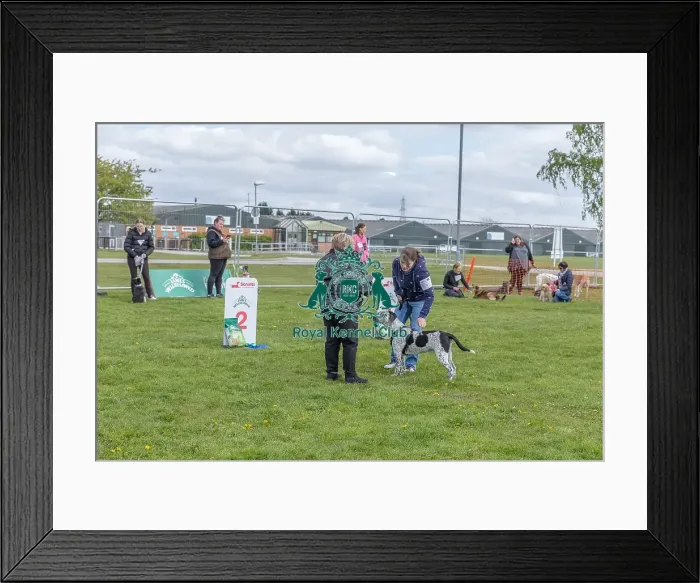 Framed Print : Good Citizen Dog Scheme Class Scruffts Heat Newark