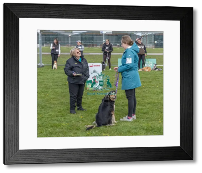 Framed Print : Good Citizen Dog Scheme Class Scruffts Heat Newark
