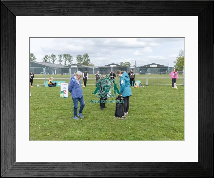 Framed Print : Good Citizen Dog Scheme Class Scruffts Heat Newark Framed Print : Good Citizen Dog Scheme Class Scruffts Heat Newark