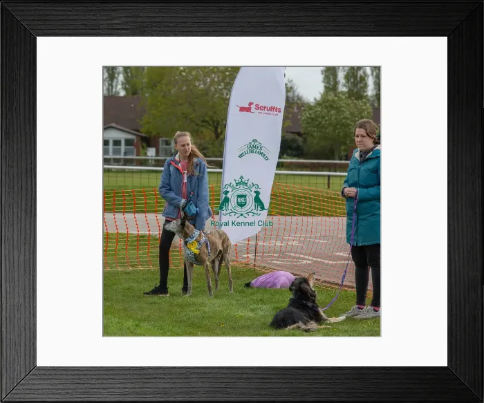 Framed Print : Sponsors Name Scruffts Heat James Wellbeloved Framed Print : Sponsors Name Scruffts Heat James Wellbeloved