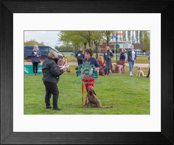 Framed Print : Nottinghamshire. Good Citizen Dog Scheme Class Framed Print : Nottinghamshire. Good Citizen Dog Scheme Class