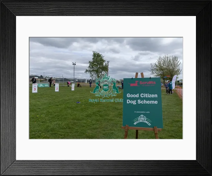 Framed Print : Sponsors Name Scruffts Heat James Wellbeloved Framed Print : Sponsors Name Scruffts Heat James Wellbeloved