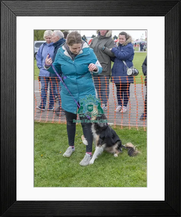 Framed Print : Nottinghamshire. 21st April 2024 Prettiest Bitch Class