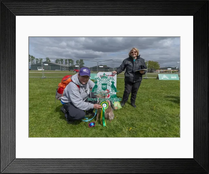 Framed Print : 21st April 2024 Scruffts Heat James Wellbeloved Framed Print : 21st April 2024 Scruffts Heat James Wellbeloved