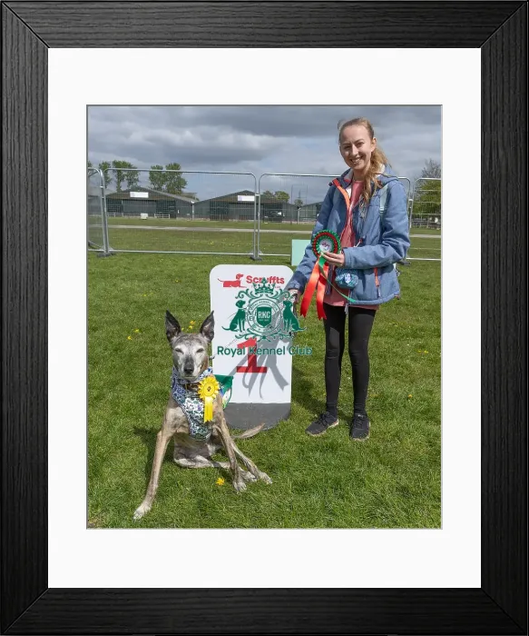 Framed Print : Sponsors Name James Wellbeloved Dog And Owner Framed Print : Sponsors Name James Wellbeloved Dog And Owner